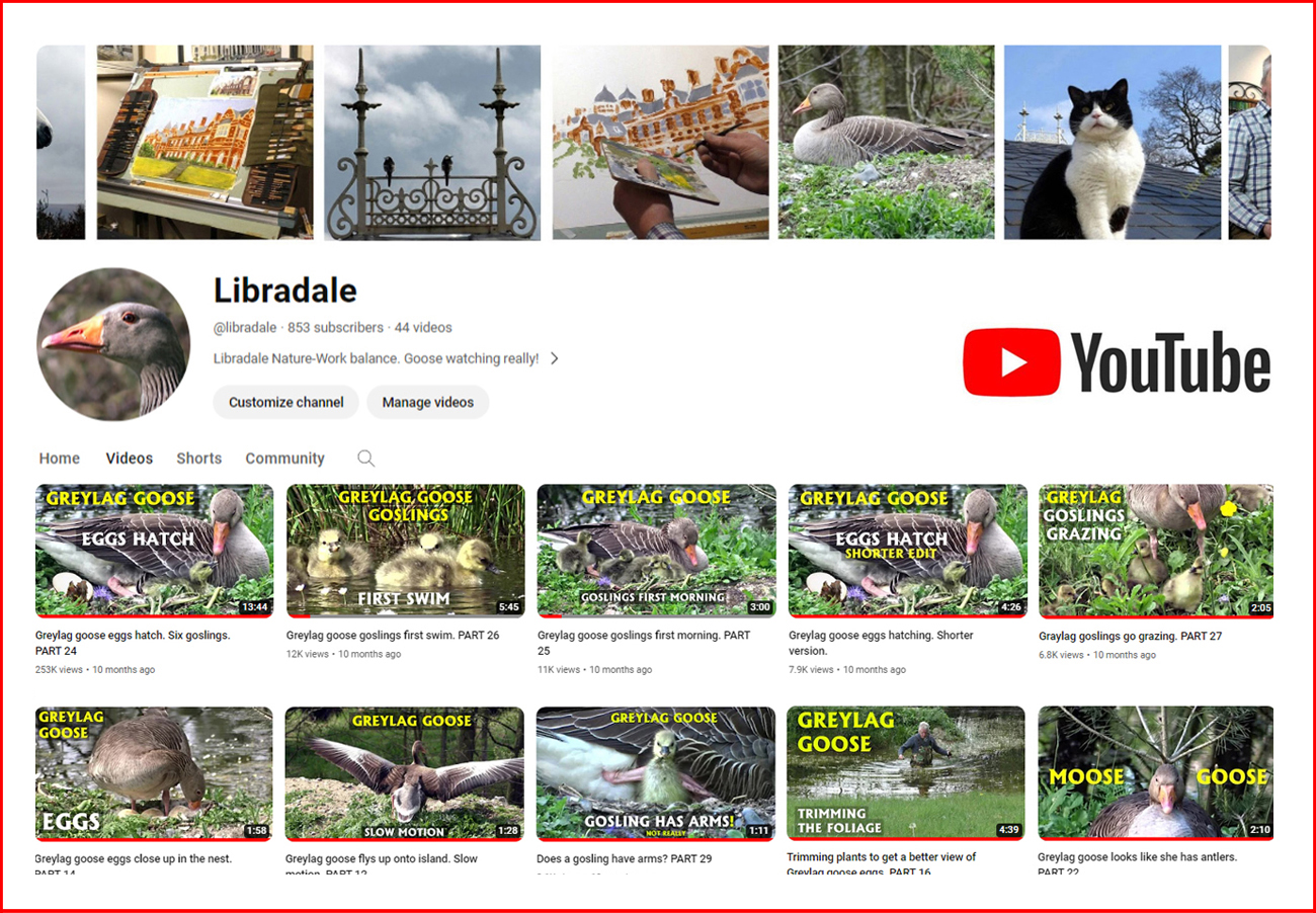 Libradale YouTube Channel